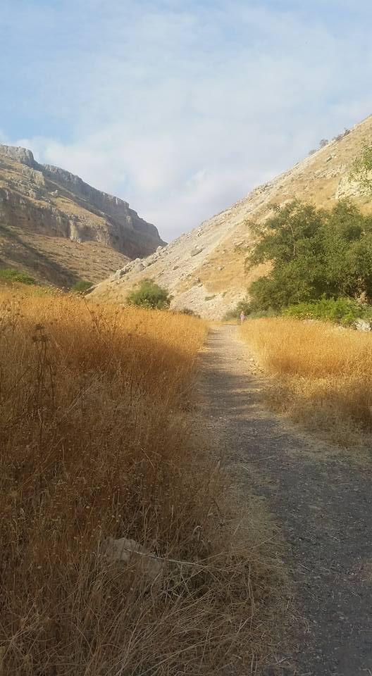 Mount Arbel Pass -2