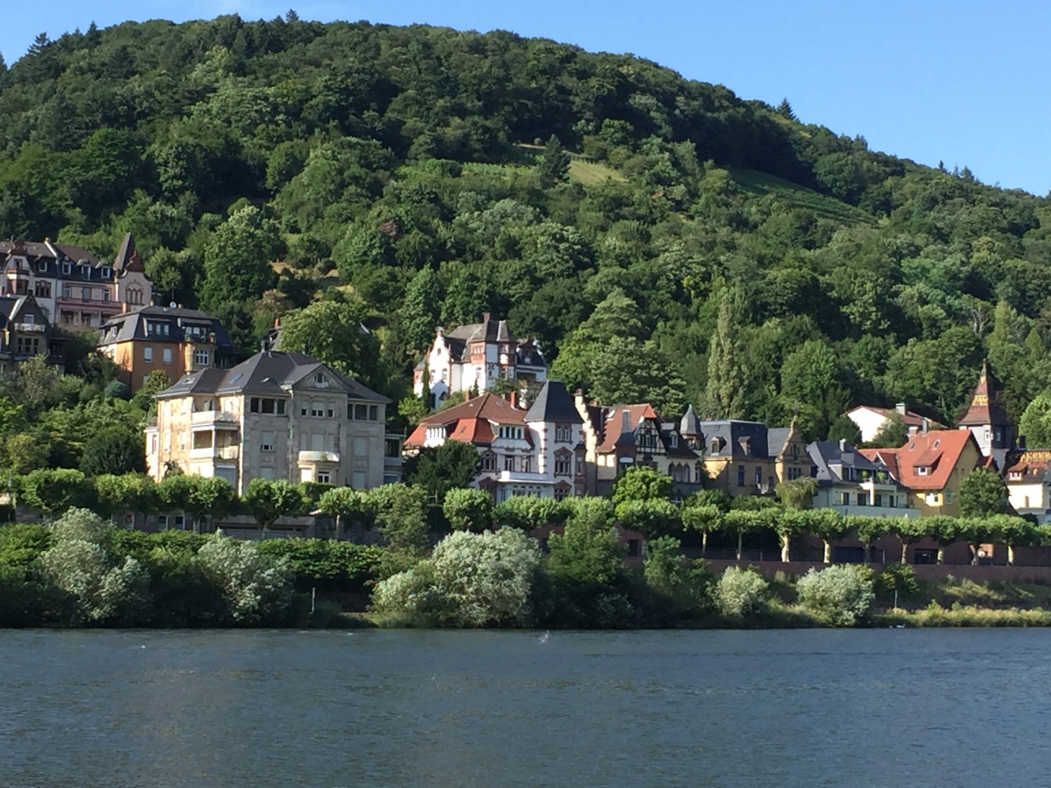 City of Heidelberg situate