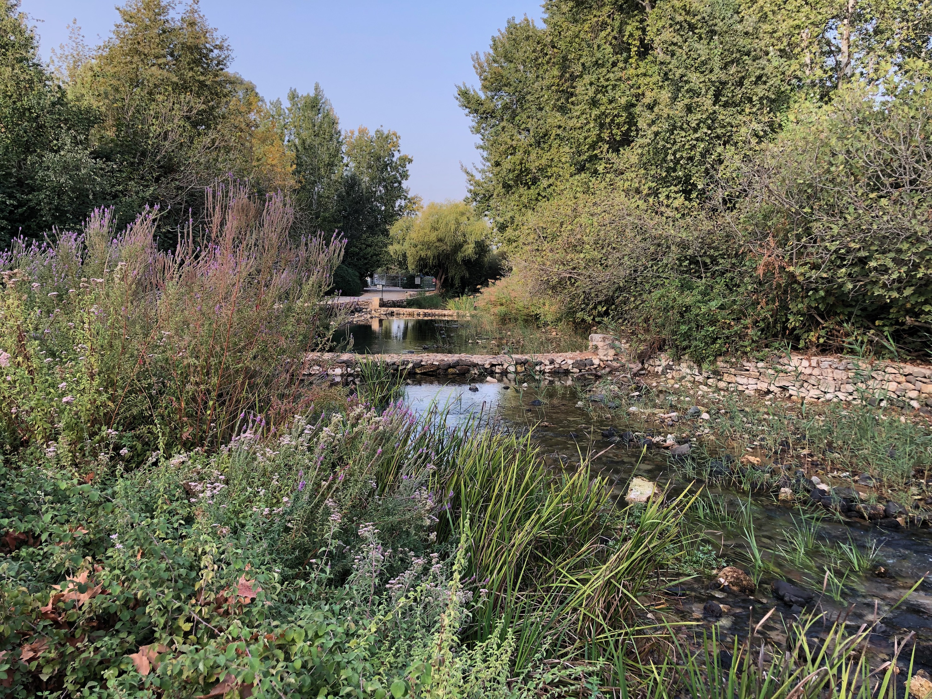 Philippi Spring Monday, October 15, 2018 – (Tel Dan, Banias Falls, Caesarea Philippi ...